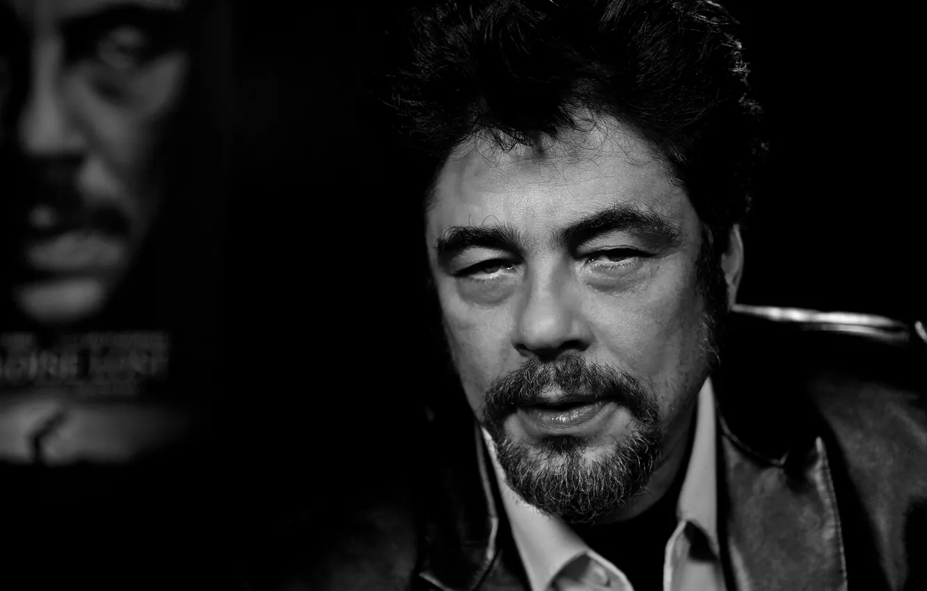 Фото обои портрет, Бенисио Дель Торо, Benicio del Toro, Benicio Monserrate Rafael del Toro Sánchez, голливудский киноактёр