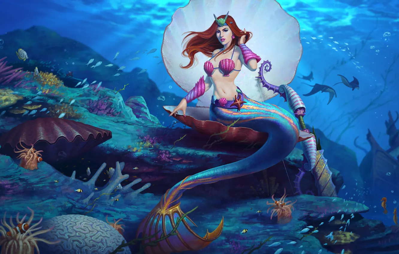 Фото обои океан, русалка, дно, Русалка, Ракушки, Underwater, Medusa, Woman