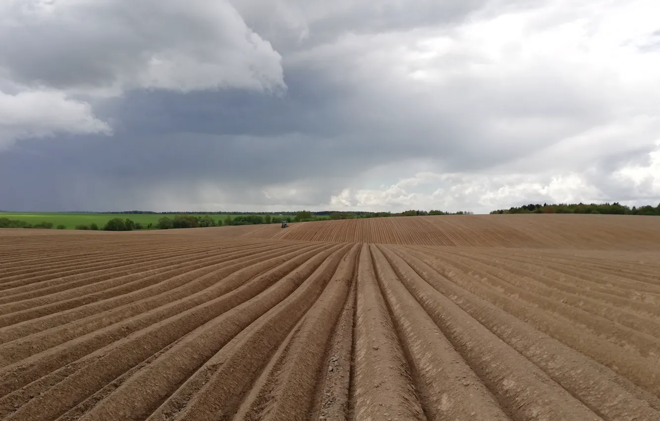 Фото обои поле, земля, трактор, пашня, посевная