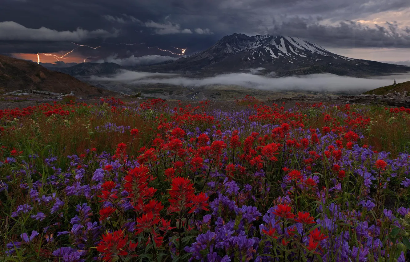 Фото обои цветы, горы, тучи, молнии