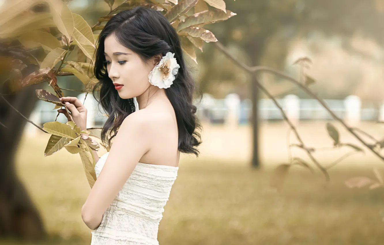 Фото обои девушка, фон, азиатка