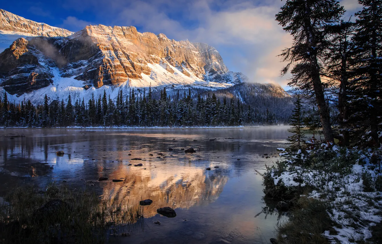 Фото обои осень, отражения, озеро, утро, Канада, Скалистые горы, национальный парк Банф, Боу