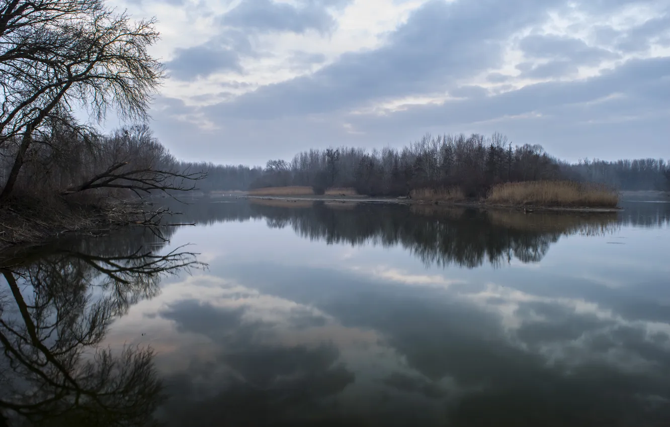 Фото обои лес, небо, облака, деревья, пейзаж, природа, озеро, горизонт