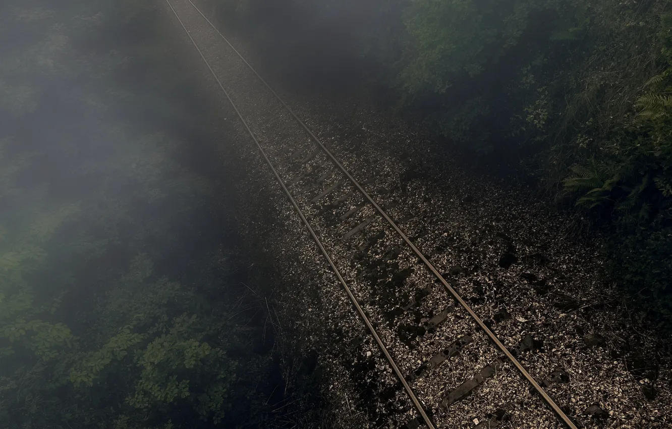 Фото обои лес, ночь, туман, железная дорога