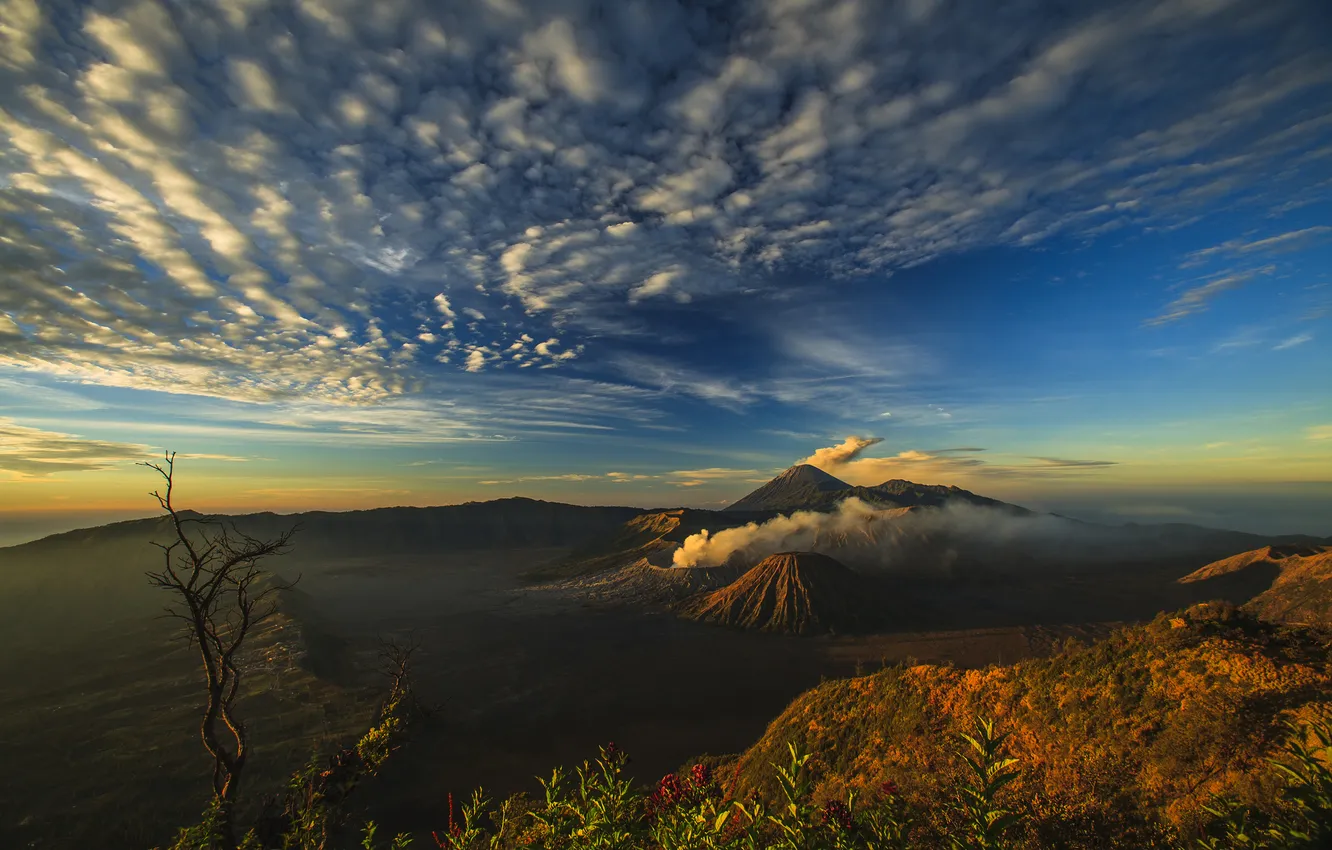 Фото обои остров, вулкан, Индонезия, Бромо, Ява