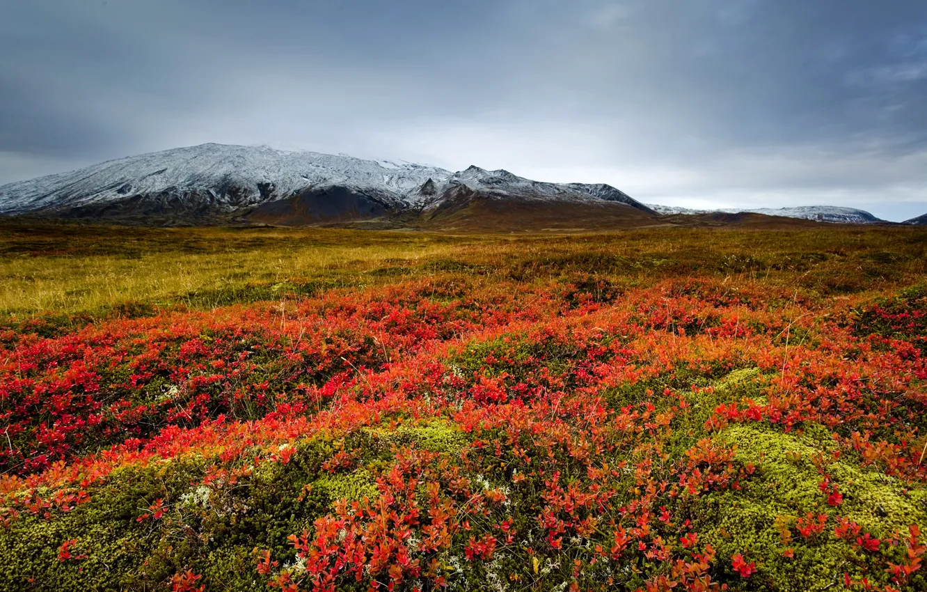 Фото обои трава, горы, тучи, долина, луг, Исландия, Snaefellsnes