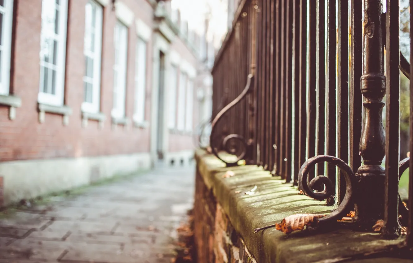 Фото обои осень, улица, забор, листок, ограда, сухой