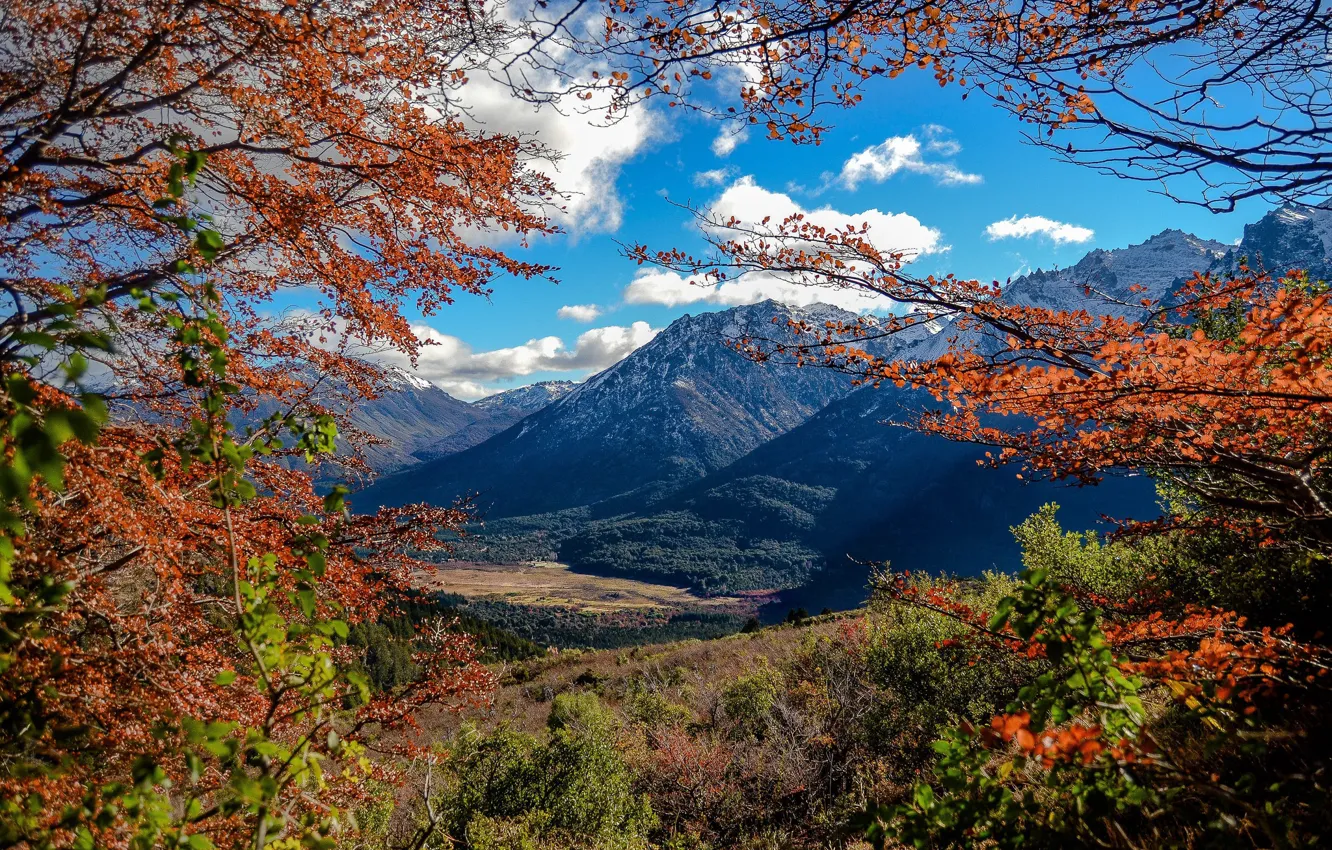 Фото обои осень, пейзаж, ветки, природа, гора, красота
