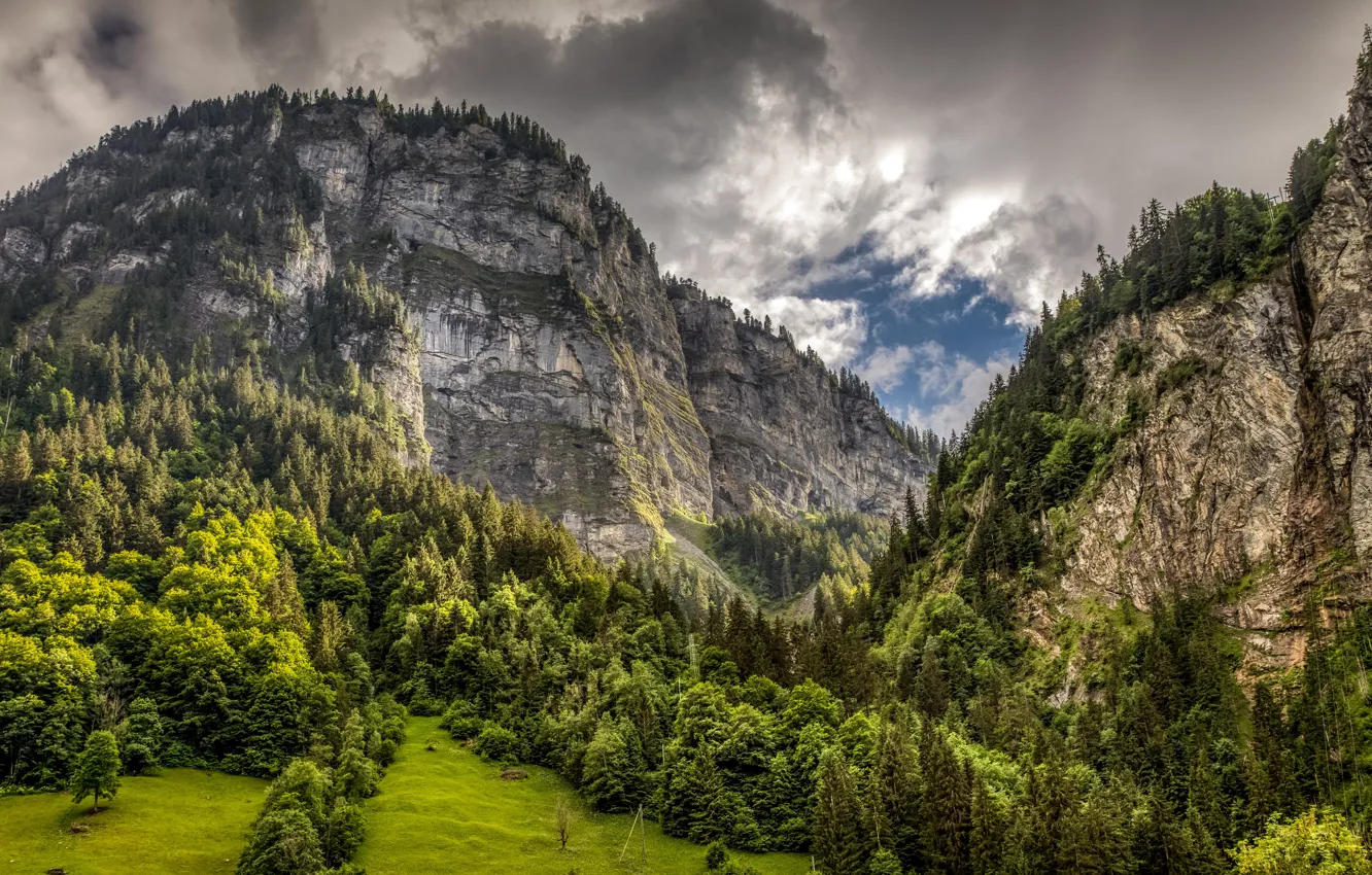Фото обои лес, облака, деревья, горы, скалы, Швейцария, Альпы, ущелье