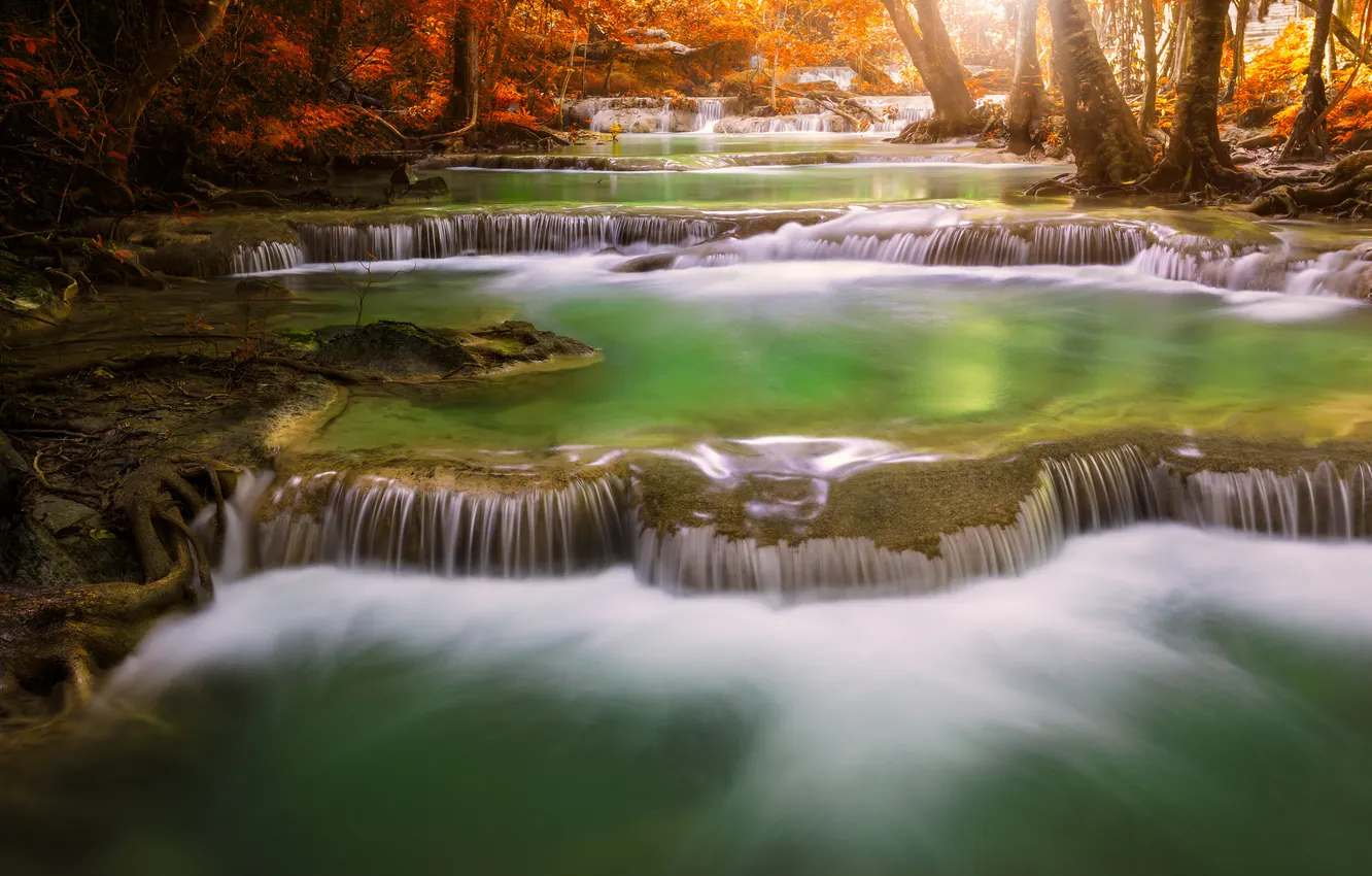Фото обои осень, лес, деревья, река, каскад
