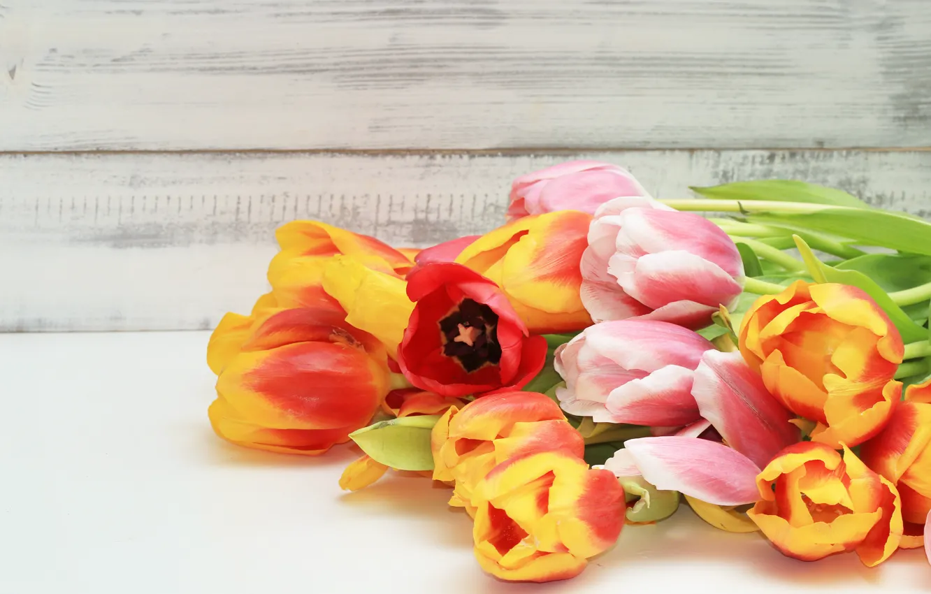 Фото обои цветы, colorful, тюльпаны, fresh, wood, flowers, beautiful, tulips