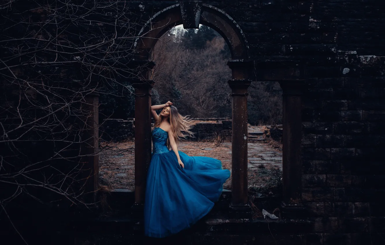 Фото обои девушка, платье, Cinderella, Adam Bird
