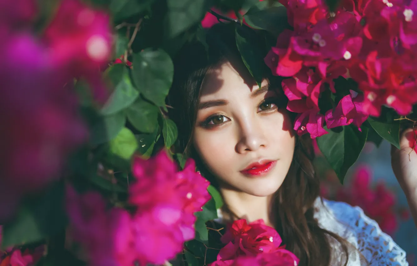 Фото обои взгляд, девушка, цветы, лицо, волосы