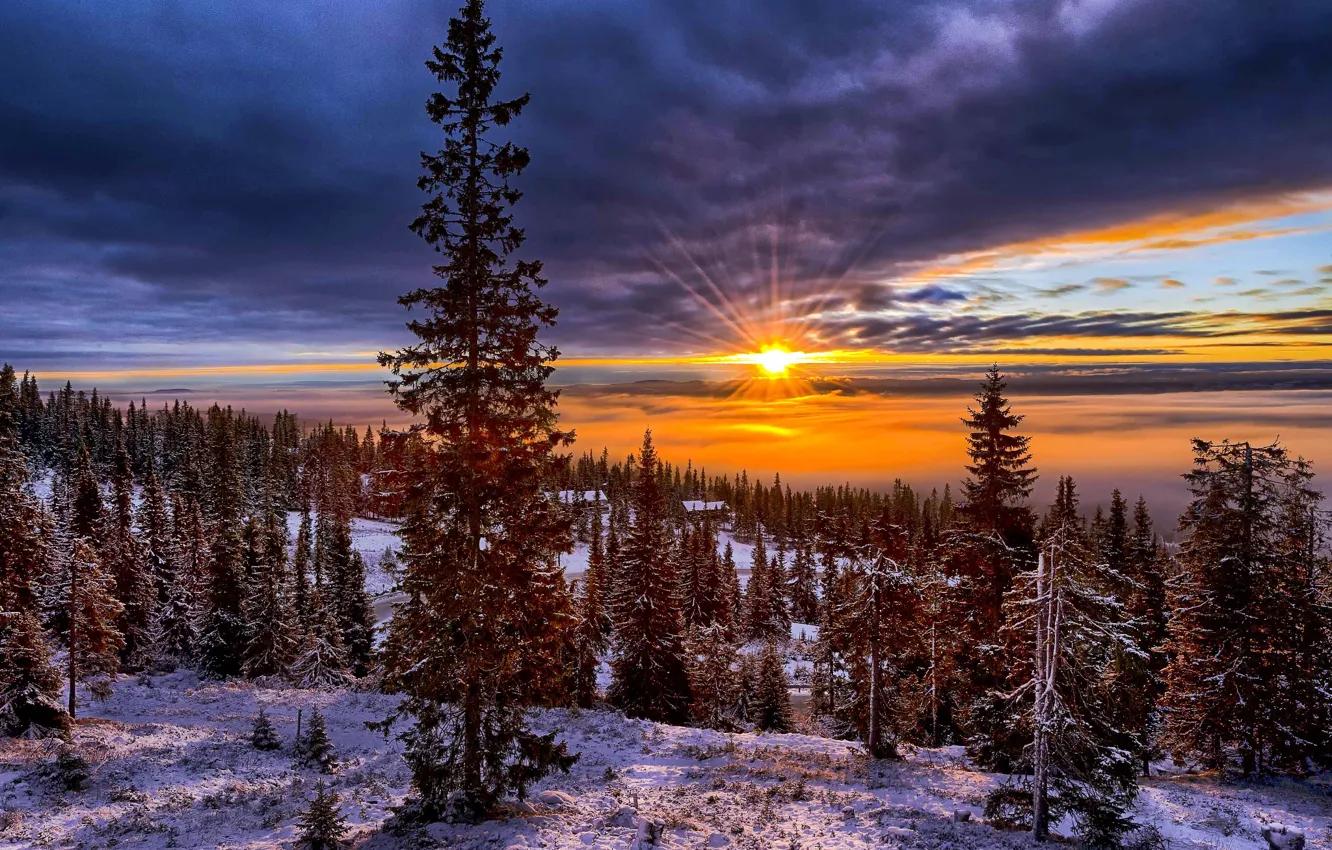 Фото обои зима, небо, солнце, снег, деревья, пейзаж, закат, горы