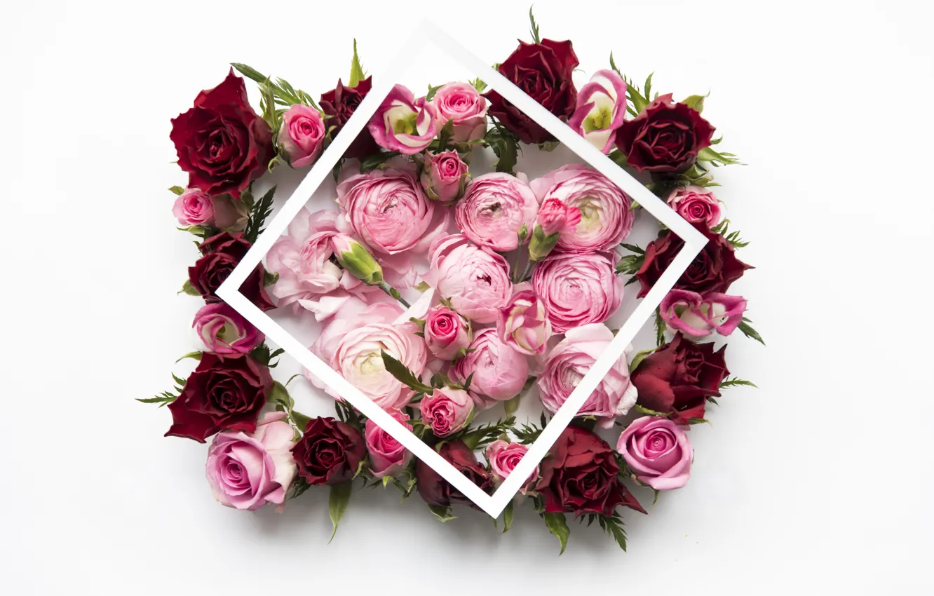 Фото обои цветы, розы, red, розовые, pink, flowers, пионы, roses