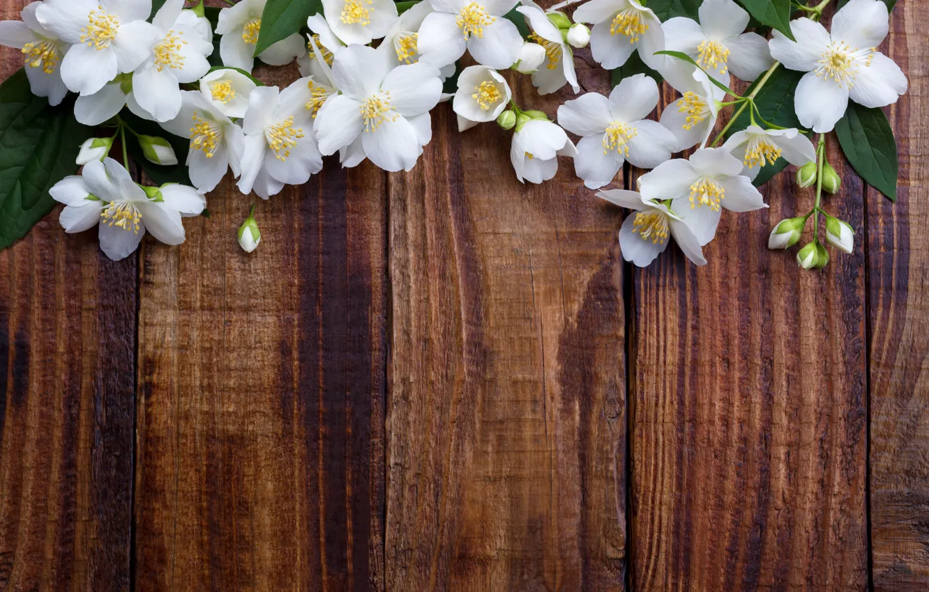 Фото обои цветы, весна, white, белые, цветение, wood, blossom, flowers