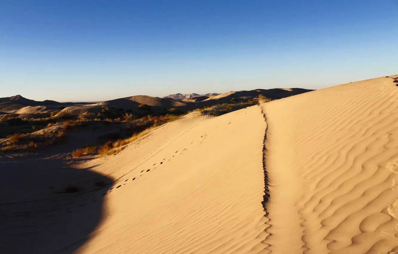 Фото обои тень, дорожки, горизонт, дюны, пустыни, голубое небо
