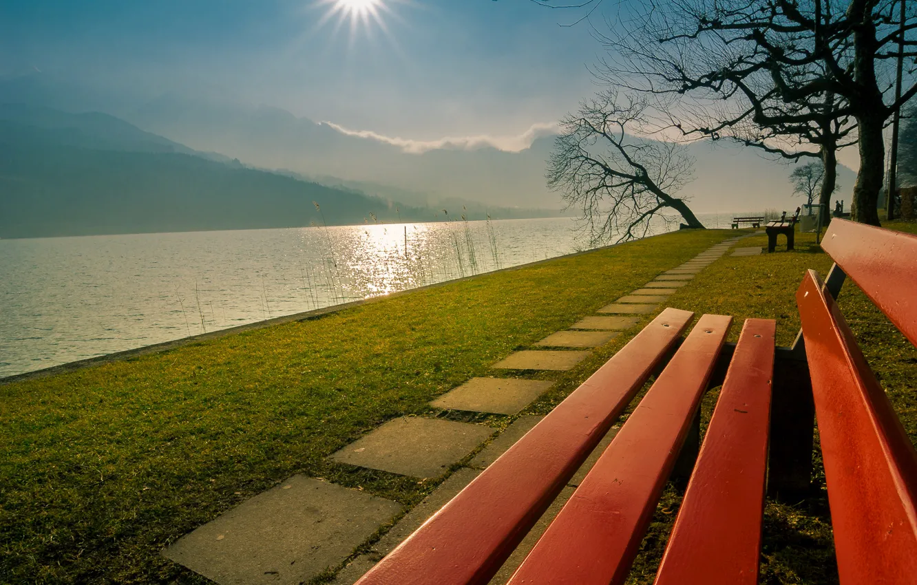 Фото обои солнце, горы, парк, Швейцария, скамья, Люцернское озеро, Фирвальдштетское озеро