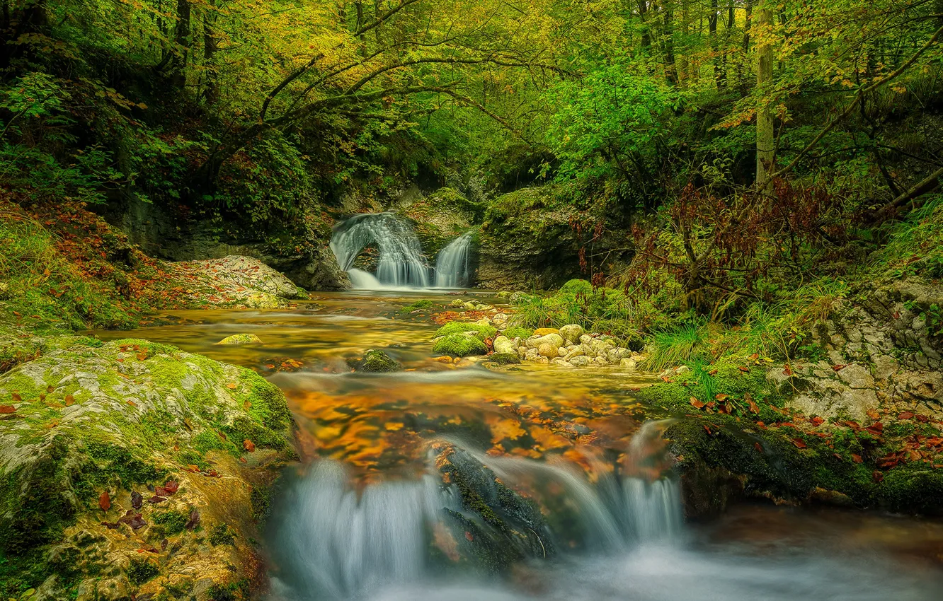 Фото обои лес, листья, деревья, ручей, камни, водопад, мох, Slovenia