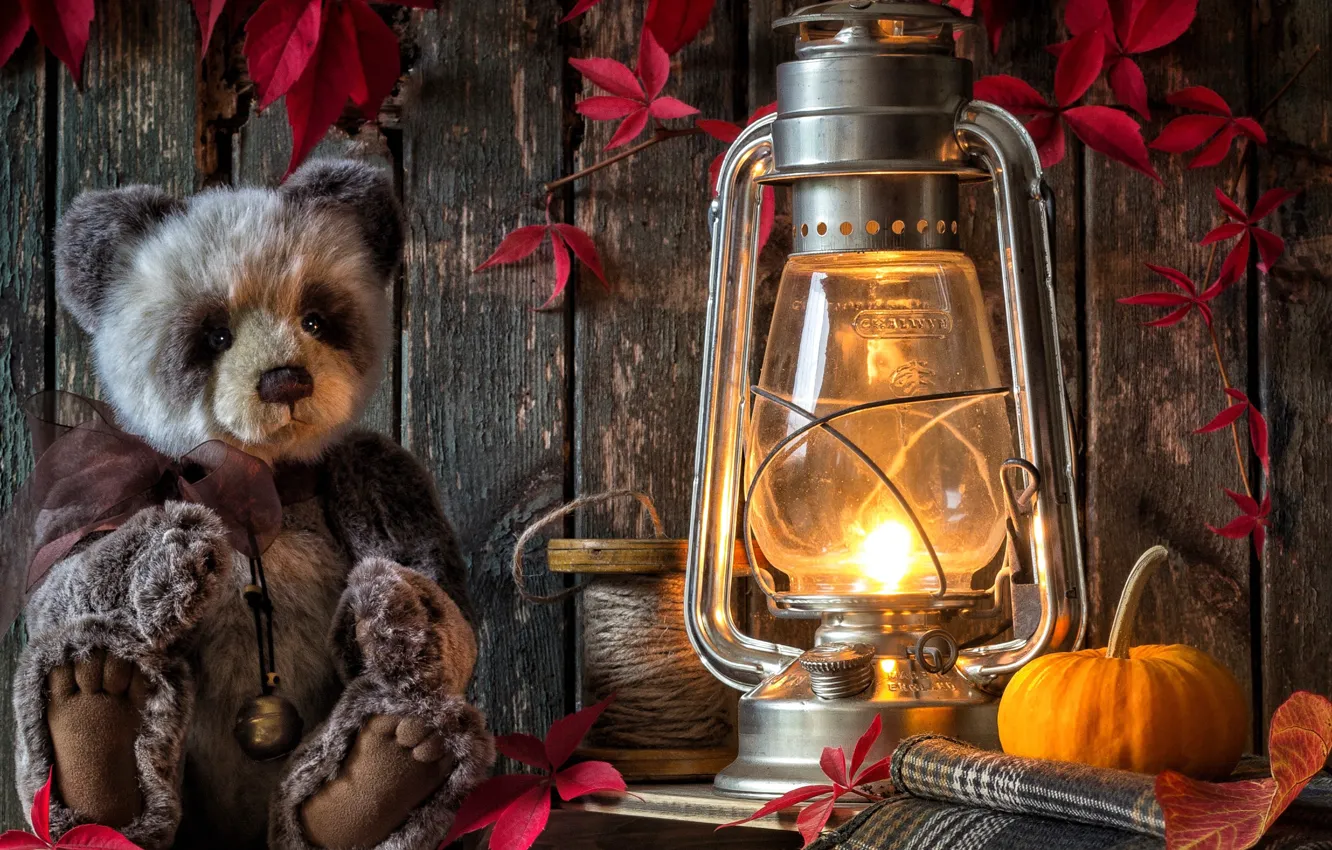 Фото обои листья, игрушка, лампа, медведь, фонарь, тыква, плюшевый мишка, катушка