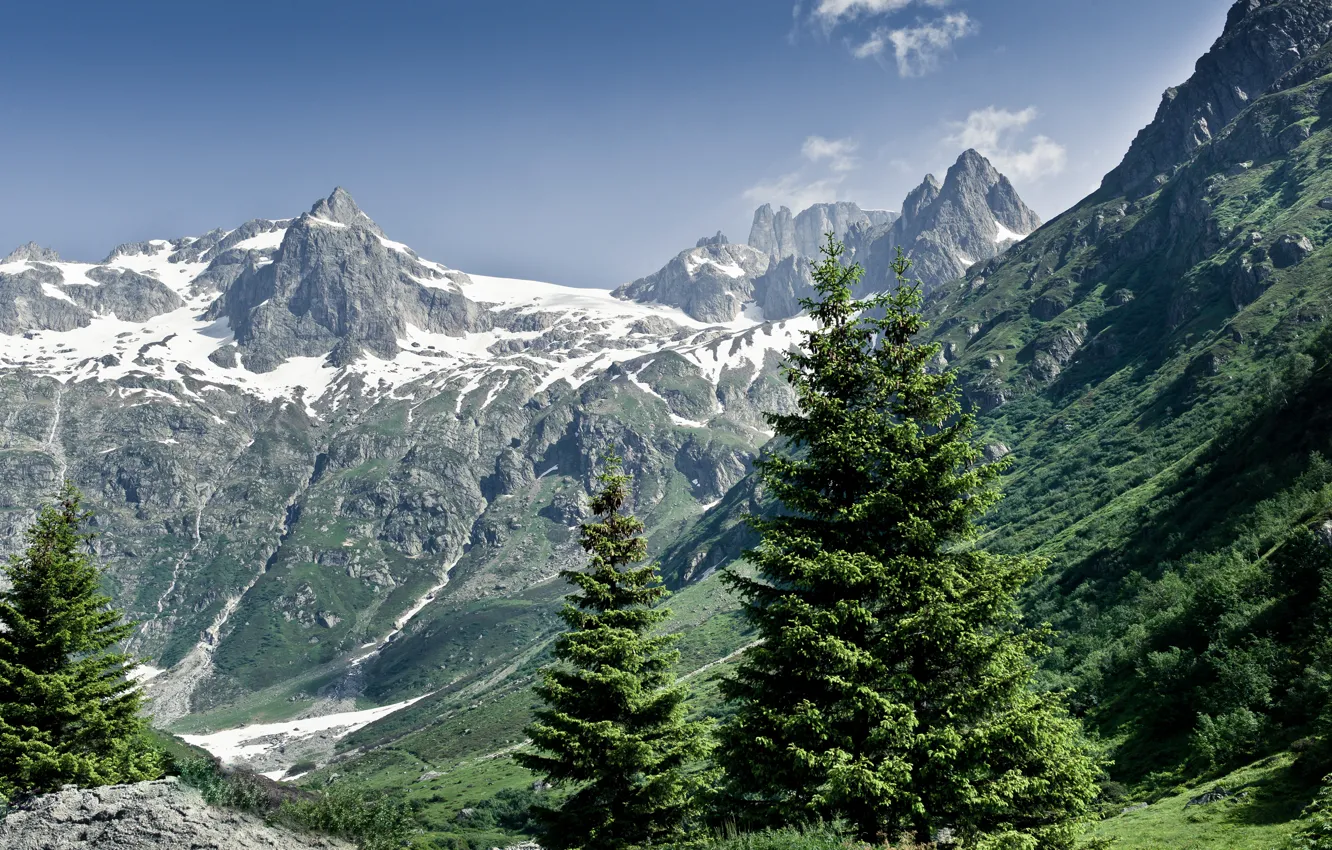 Фото обои лес, лето, горы, природа, альпы