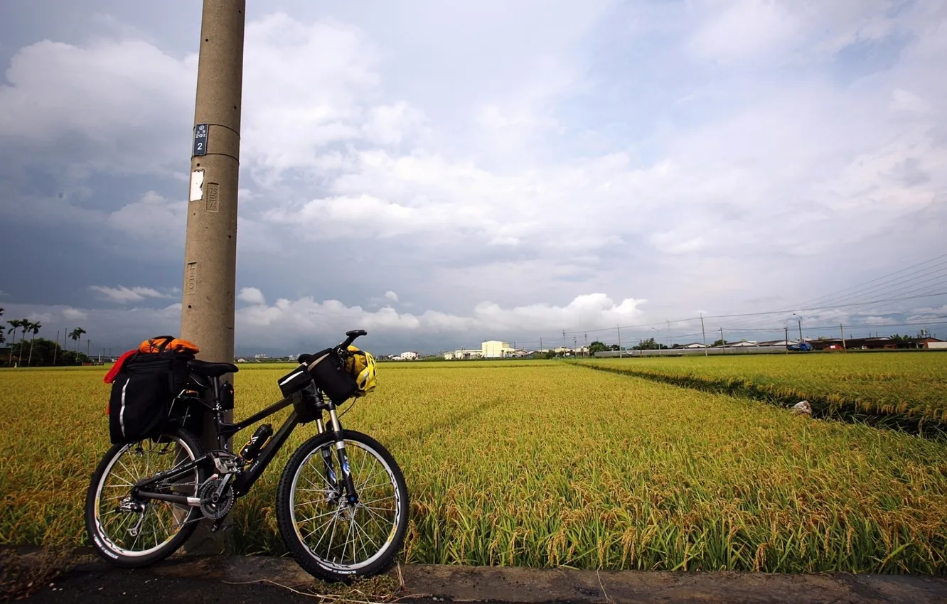 Фото обои поле, небо, тучи, велосипед