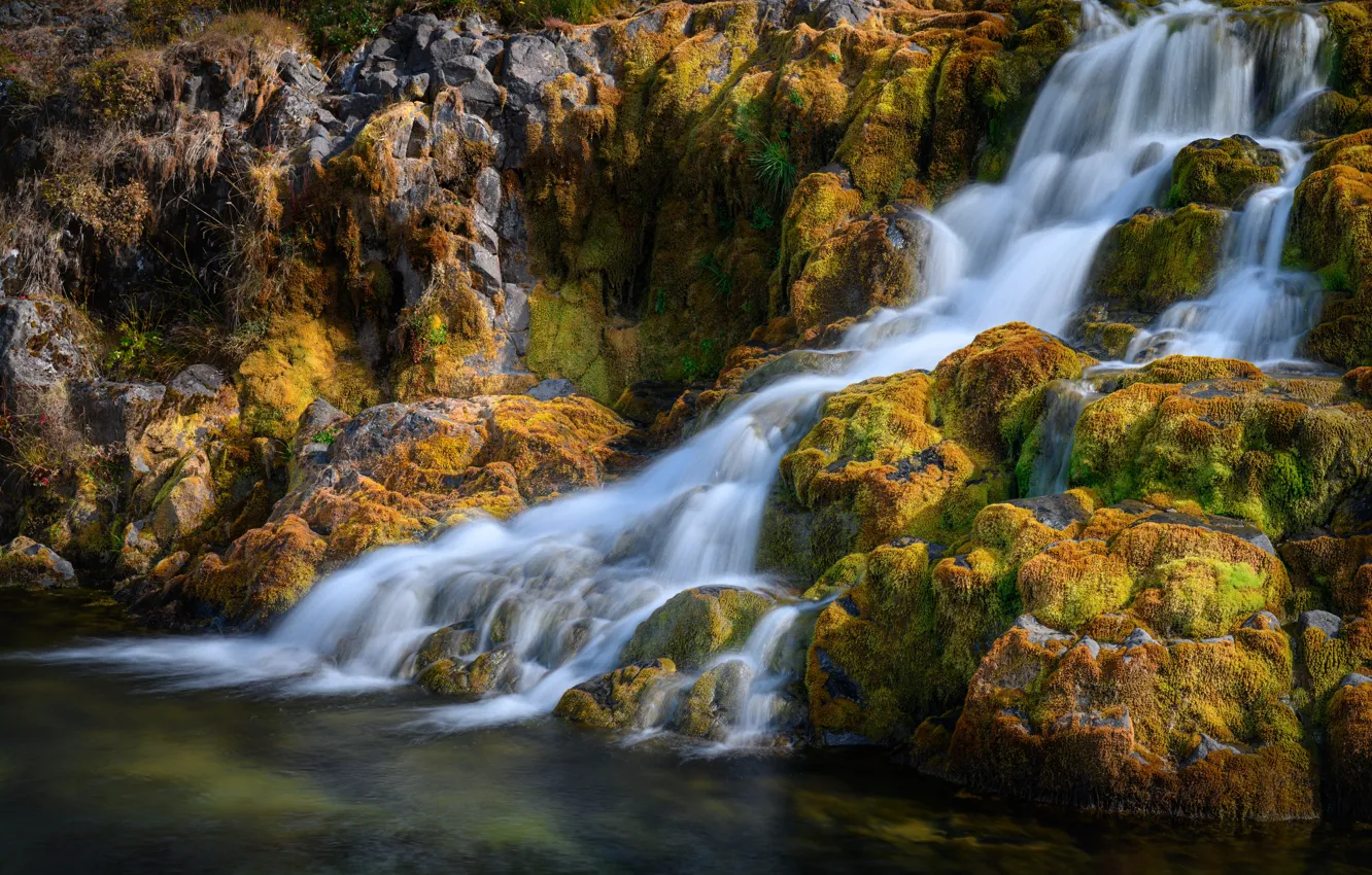 Фото обои камни, водопад, мох, Исландия, Dynjandi waterfall