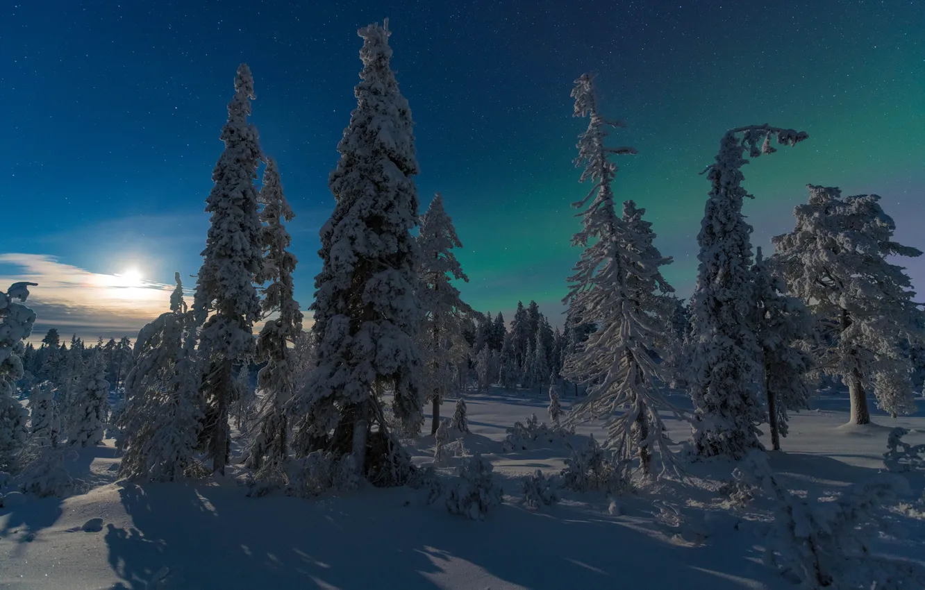 Фото обои зима, лес, Финляндия, Kuusamo