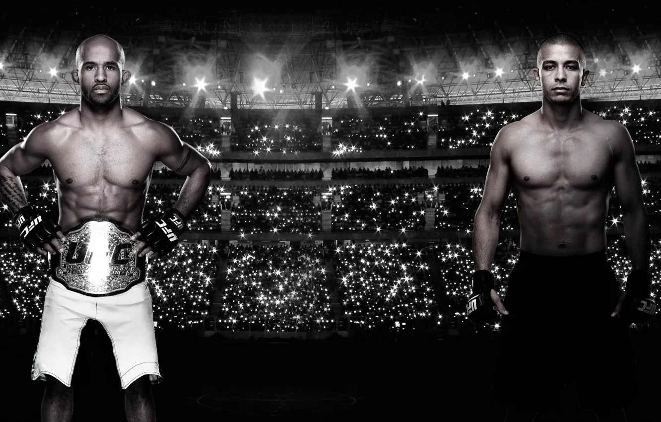 Фото обои бойцы, чемпион, mma, ufc, fighters, смешанные боевые искусства