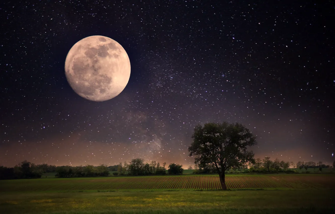 Фото обои небо, звезды, пейзаж, ночь, природа, луна, moon, sky