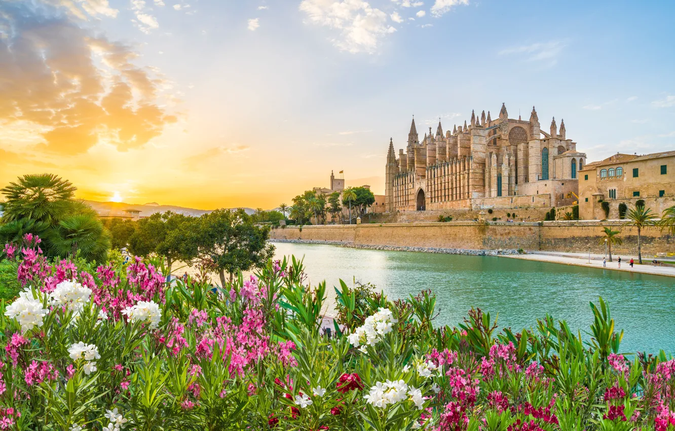 Фото обои Цветы, Речка, Испания, Spain, Майорка, Mallorca, Palma de Mallorca, Palma Cathedral