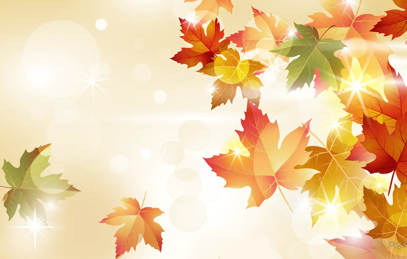Фото обои осень, листья, свет, природа