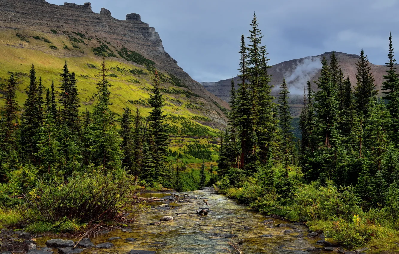 Фото обои деревья, горы, ручей, камни, скалы, США, Glacier National Park