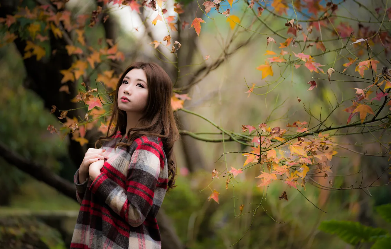 Фото обои осень, листья, девушка, азиатка, милашка, боке