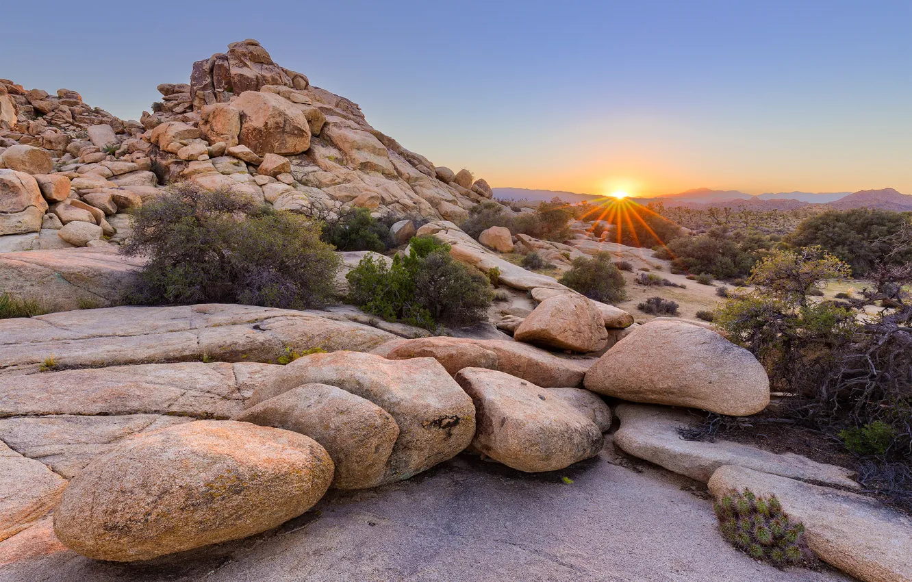 Фото обои закат, Калифорния, США, California, Joshua Tree National Park