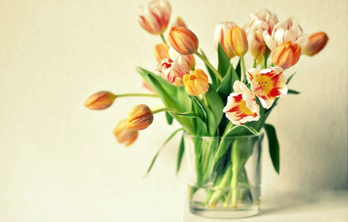 Фото обои цветы, тюльпаны, ваза, оранжевые