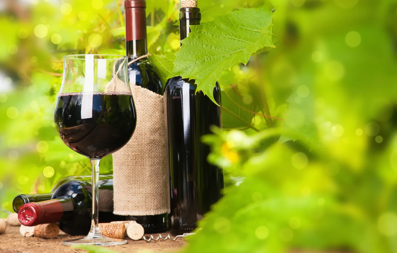 Фото обои вино, красное, бокал, виноград, штопор