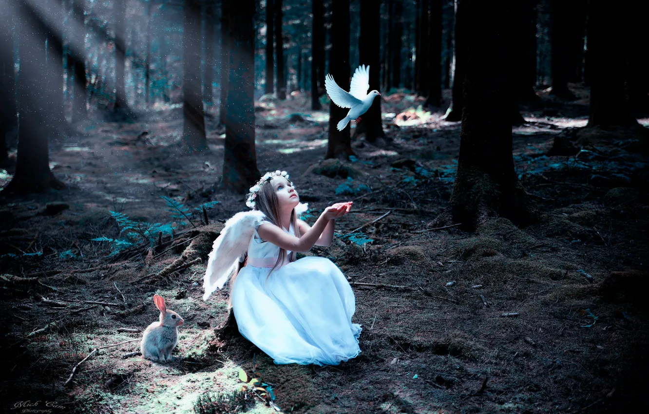 Фото обои лес, птица, заяц, девочка