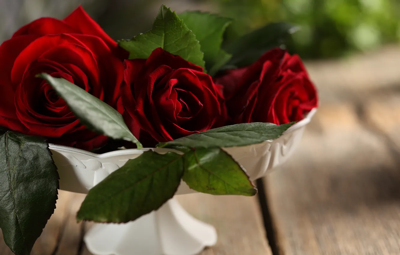 Фото обои цветы, букет, ваза, бутоны, красные розы