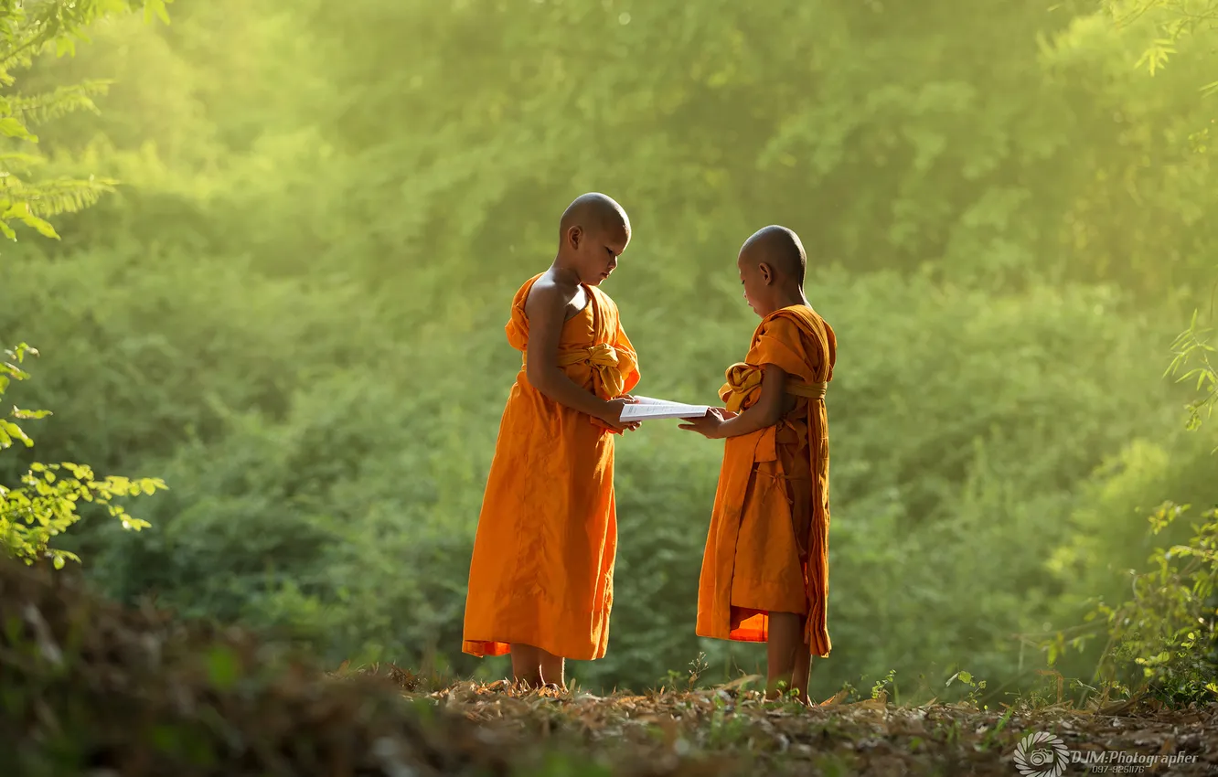 Фото обои nature, boy, asian, monk