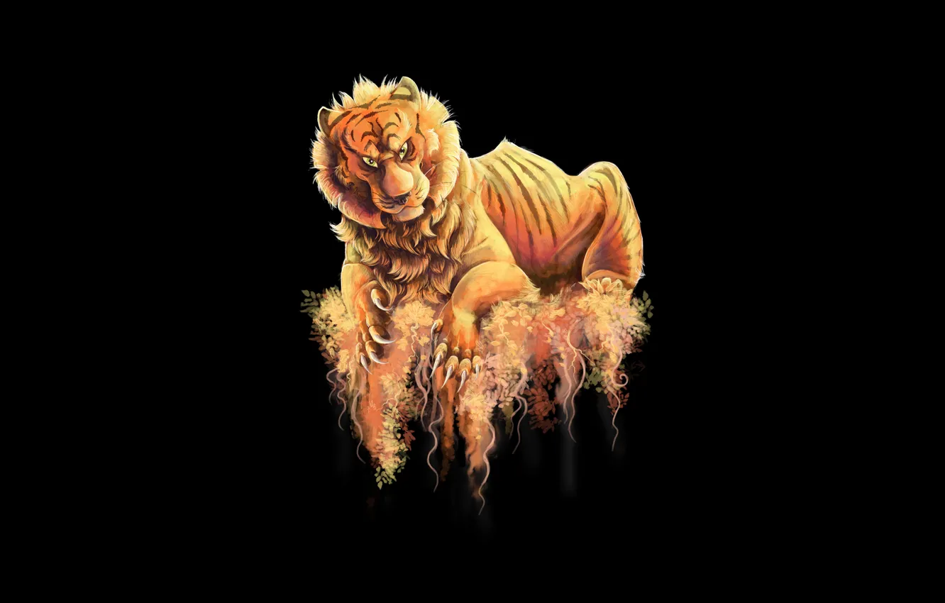Фото обои тигр, темный фон, хищник, tiger