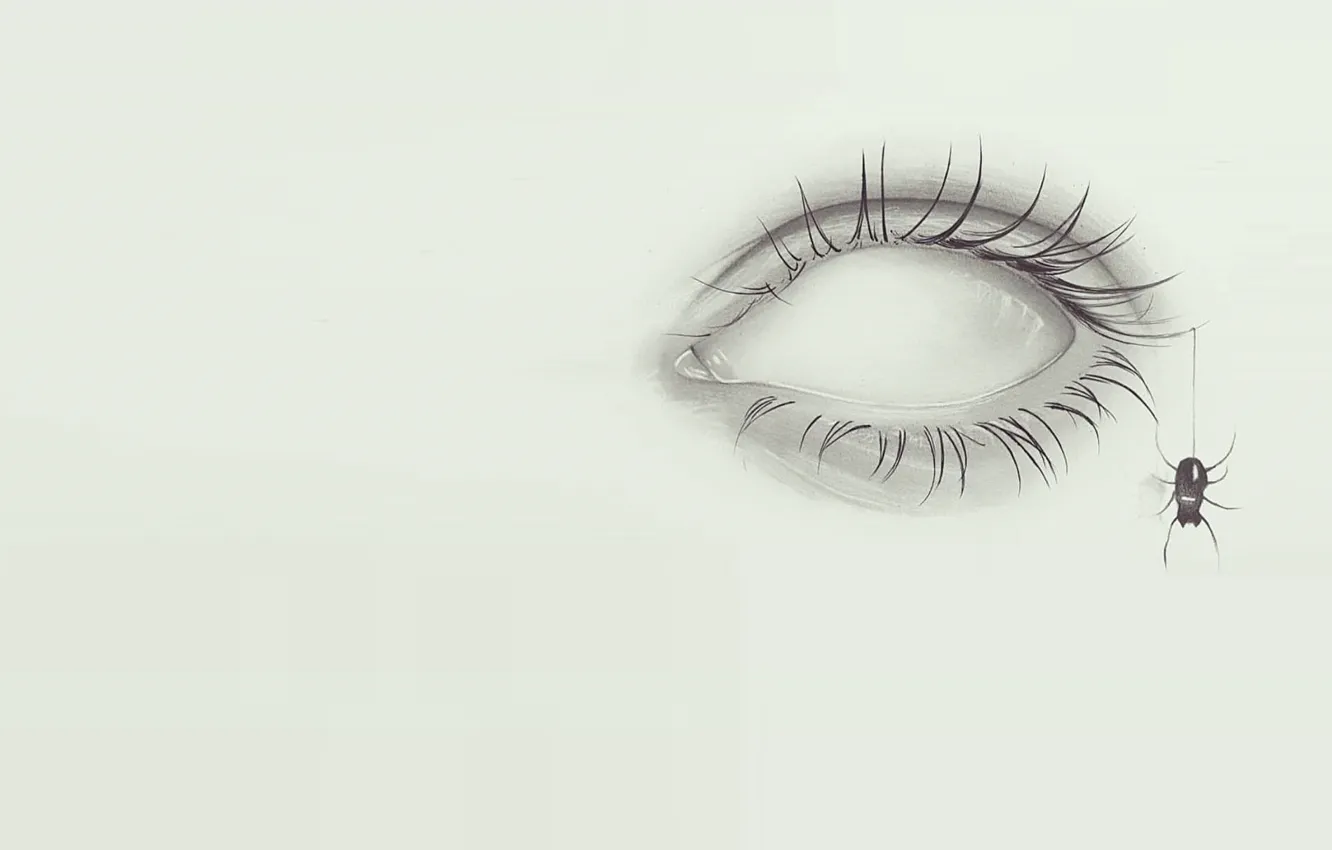 Фото обои глаз, рисунок, арт, карандаш, паучок