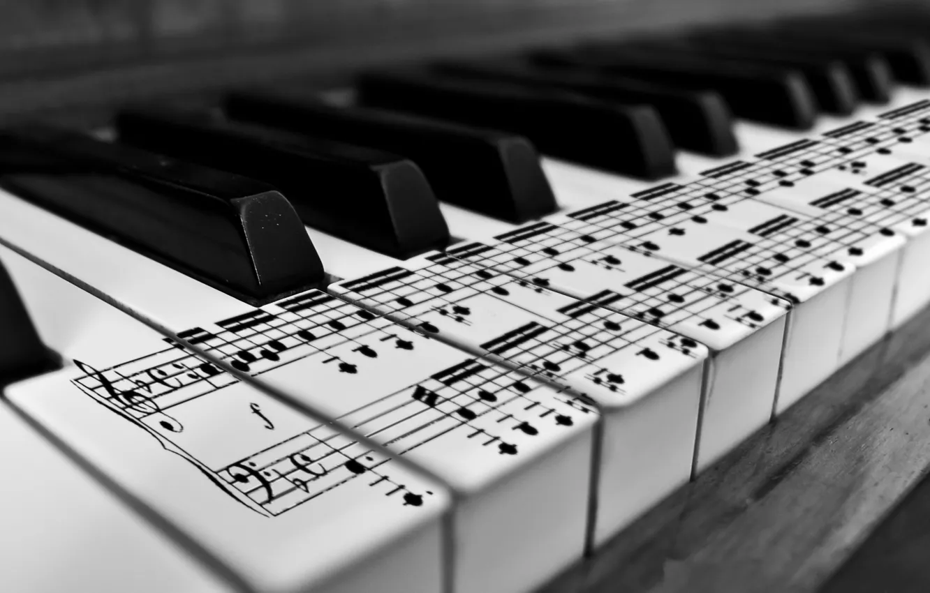 Фото обои ноты, клавиши, черно-белое, пианино, karl683