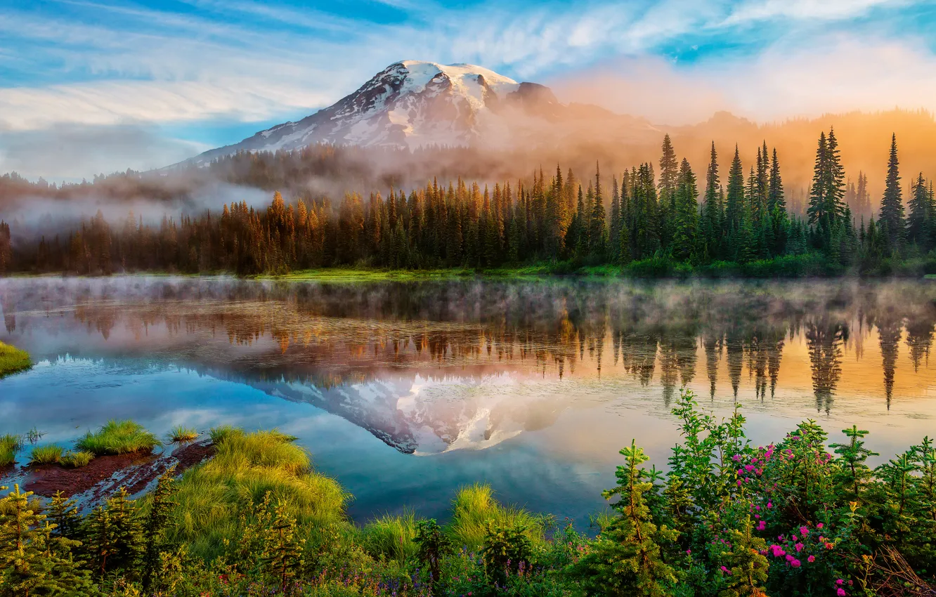 Фото обои лес, лето, отражения, туман, озеро, гора, утро, США