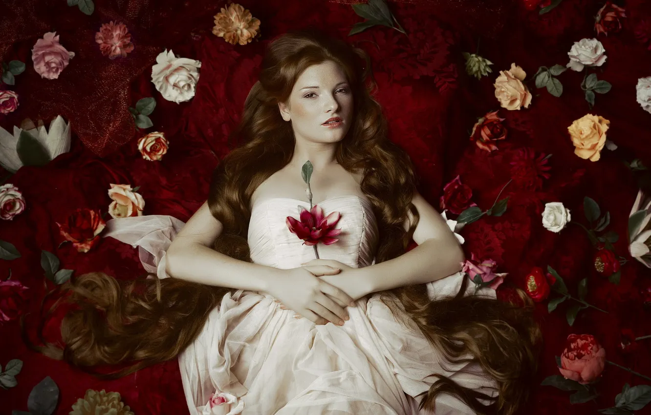 Фото обои взгляд, цветы, девочка