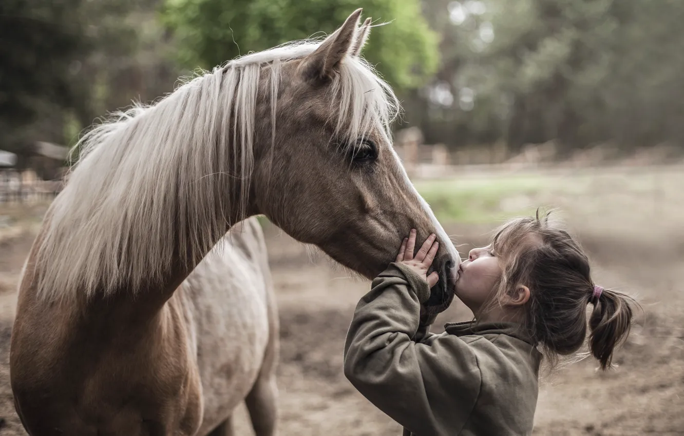 Фото обои настроение, конь, девочка