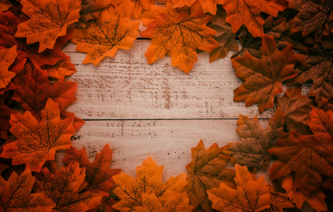 Фото обои осень, листья, фон, дерево, colorful, доска, wood, background