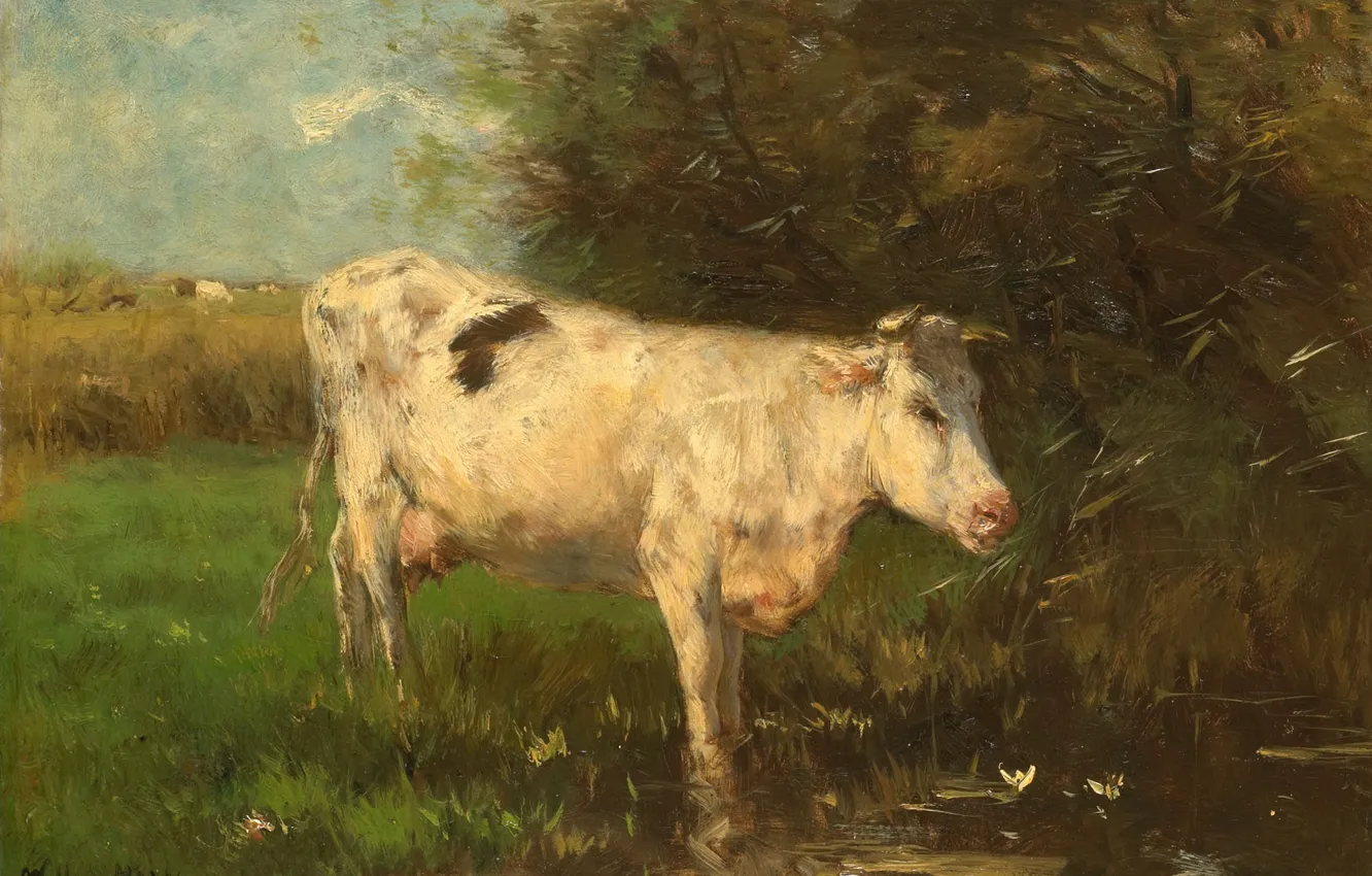 Фото обои животные, масло, картина, 1910, Виллем Марис, Willem Maris, Белая корова