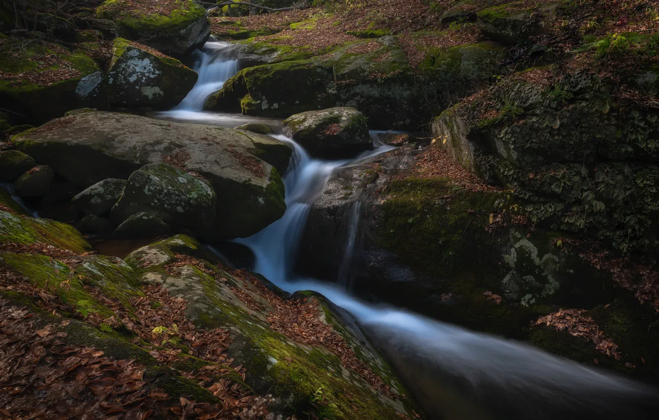 Фото обои осень, камни, скалы, листва, водопад, сухие листья