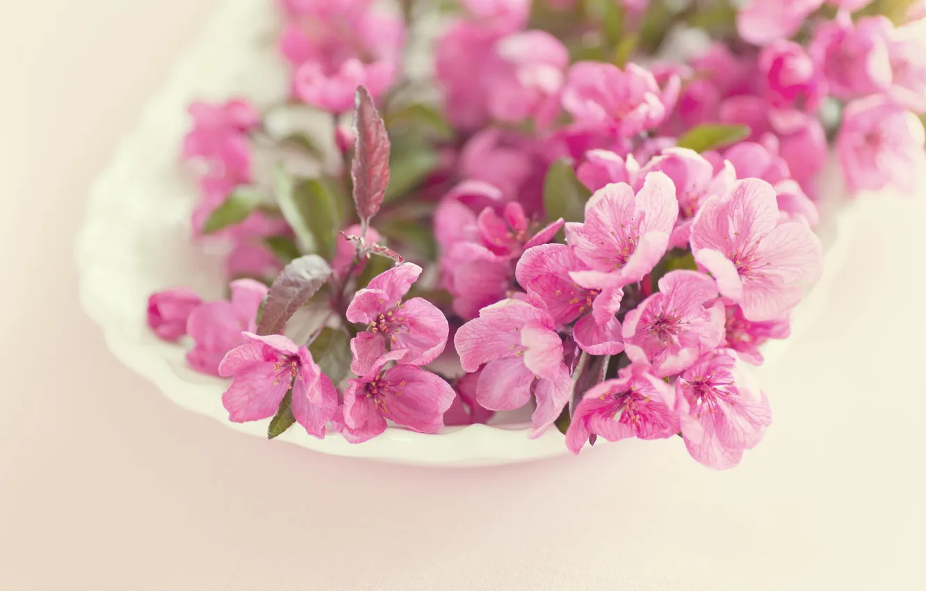 Фото обои макро, цветы, розовые, цветение